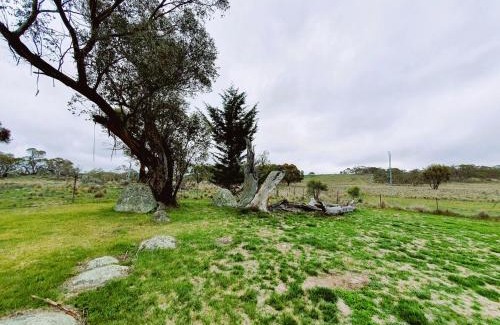 Avonside House | Alpine Vista Large Family Holiday Home
