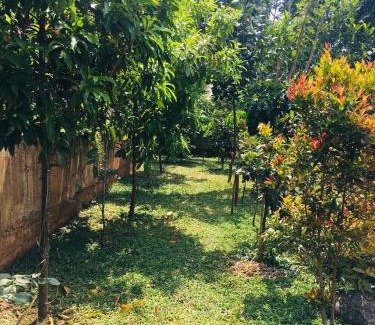 Kottappadi part House | Alpine Zenith - Luxury Wooden Cottages