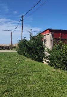 Mar de Cobo House | Alquimia Qi del Mar