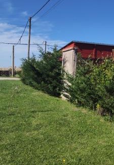 Mar de Cobo House | Alquimia Qi del Mar