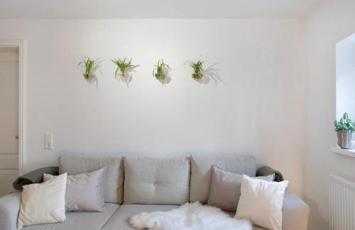 Alsfeld Apartment | Alsfelder Wein-Suite