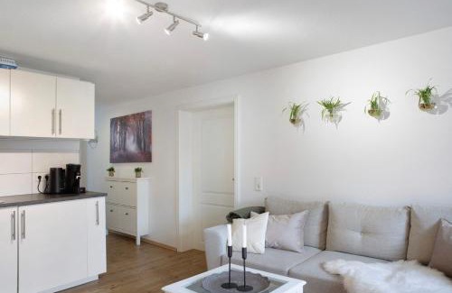 Alsfeld Apartment | Alsfelder Wein-Suite