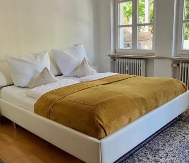 Moosburg Apartment | Altbau-Traum mit Riesen-Dachterrasse