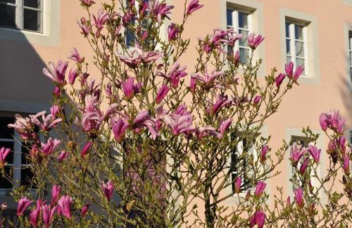 Messerich Apartment | Alte Schmiede in denkmalgeschützter Hofanlage