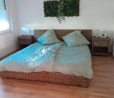 Langenbrucken Apartment | Alte Villa mit Terrasse