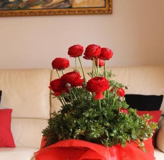 Altea la Vella House | Altea Hills Villa Casablanca 23