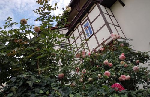 Weissensee Apartment | Altes Standesamt Weißensee