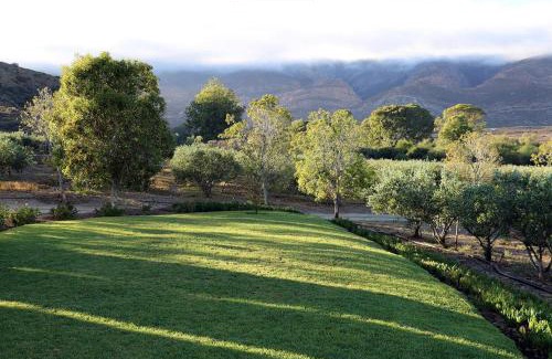Barrydale Ski Chalet | AlteVrede Olive Farm