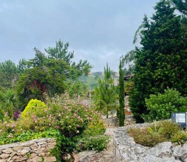 Reguengo Grande Cabin | Alto Paraíso Boutique Hotel