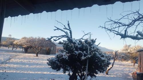 Mina Clavero Cabin | Alto Valle Cabañas de Montaña