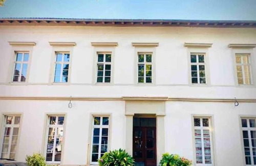 Mainz-Bingen Apartment | Altstadt Pur!an der Wunderschönen Katharinenkirche