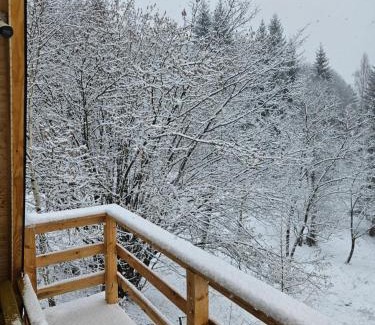 Dambovicioara Ski Chalet | Altundeva la munte