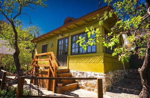 Colti House | Alunis RETREAT