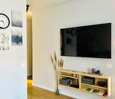Alytus Apartment | Alyvų tako studija
