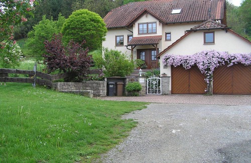 Ochsenfurt Apartment | Am Alten Berg | 40m2 FeWo für 3 Personen mit Küchenzeile und Terrasse
