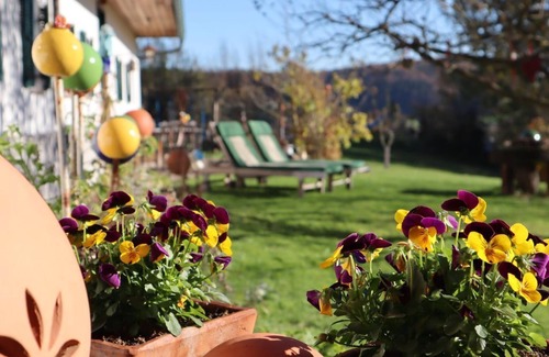 Feldbach Apartment | Am Vogelnest - Sonnenhaus Grandl