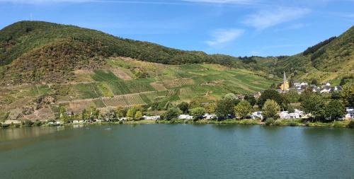 Senheim Apartment | Am Weinberg