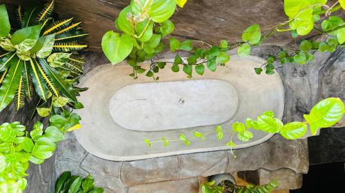 Kimbissa House | Ama Eco Lodge