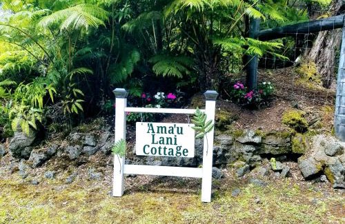 Volcano House | 'Ama'u Lani Cottage