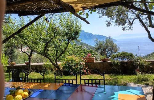 Colli di Fontanelle House | Amalfi Coast, Positano, Sorrento, Capri, Garden, Villa Carcara