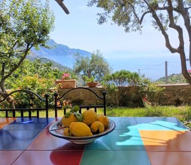 Colli di Fontanelle House | Amalfi Coast, Positano, Sorrento, Capri, Garden, Villa Carcara