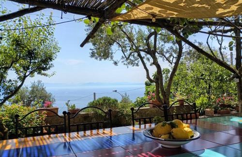 Colli di Fontanelle House | Amalfi Coast, Positano, Sorrento, Capri, Garden, Villa Carcara