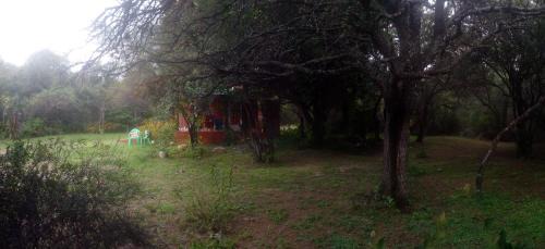 Las Rosas House | Amaltea