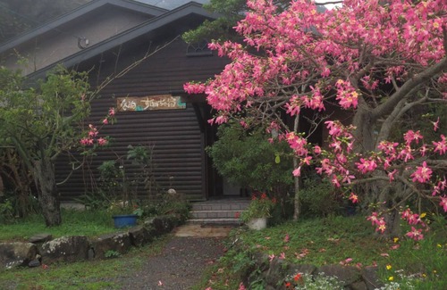 Tatsugo House | Amami Oshimas wilderness a guest house for rent/Oshima-gun Kagoshima