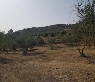 Casarabonela House | Amandolas