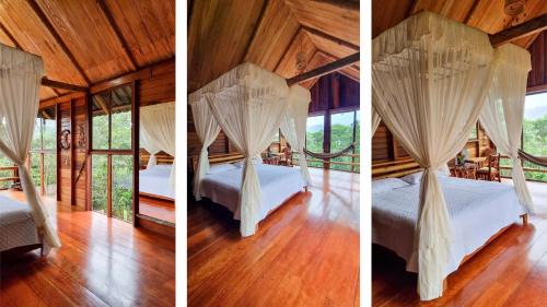 Ramonurcu House | Amanecer Amazonico