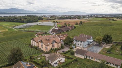 Duillier Apartment | Amanthos Living Nyon