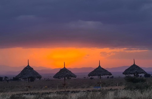 Amboseli House | Amanya 1 -Bed King Lion Tent