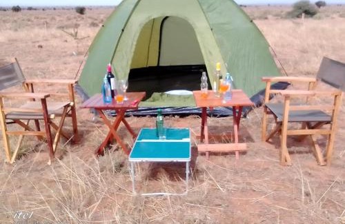Kimana House | Amanya 1- Bed Pitch Tent