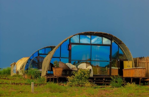 Amboseli RV Rental | Amanya 2-rooms Lioness Family