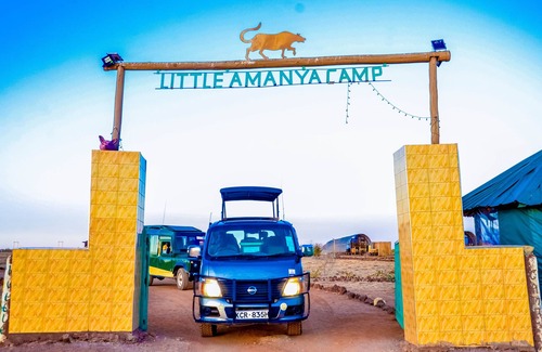 Amboseli RV Rental | Amanya 2-rooms Lioness Family