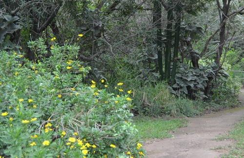 Thorny Bush Game Reserve RV Rental | Amanzimlotzi Riverside Bush Tent for 3 Adults in Limpopo, Kruger Park