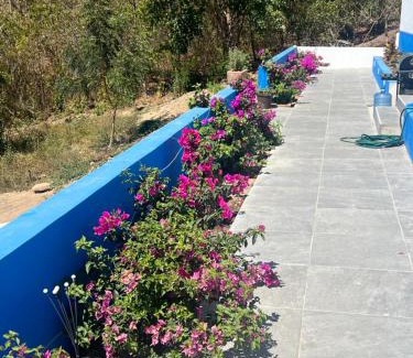 Salchi Apartment | Amarilla (Amar y ya)