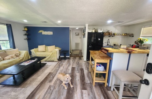 Barrett Cabin | Amarilla Casita By The River