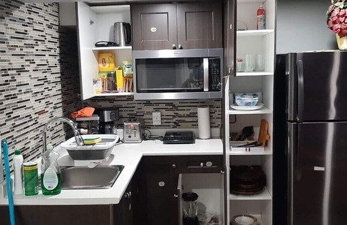 Winnipeg House | Amazing 2 bedroom basement with separate entrance
