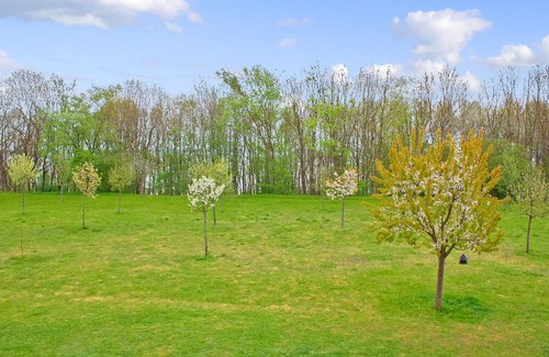 Muritz Apartment | Amazing apartment in Klink with WiFi