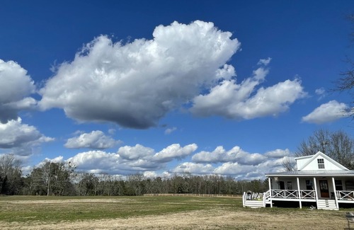 South Carolina Lakes & Blackwater Rivers Cabin | Amazing Barn Lodge on 100 ac Farm, minutes into fun Aiken. Dog & Horse friendly!