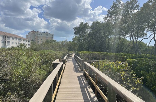 Palmetto Apartment | Amazing Bay Views 25 min. drive to the beach