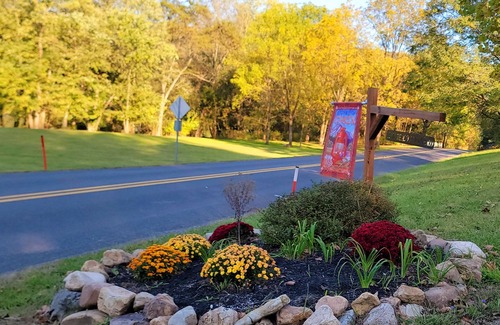 Blairs Mills Cabin | Amazing Cabin on water in the mountains w/private salted pool and hot tub!