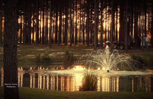 Talisheek Cabin | Amazing Campground w/80 acres to explore along the beautiful Bogue Chitto River!