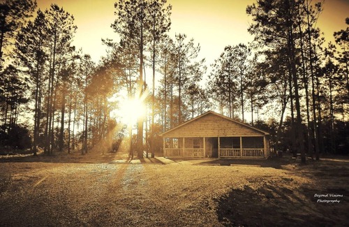 Talisheek Cabin | Amazing Campground w/80 acres to explore along the beautiful Bogue Chitto River!