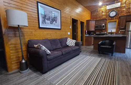 Interlochen House | Amazing Dome! Panoramic Barrel Sauna! Hot Tub! Sleeps 6 Pet Friendly, Fire Place