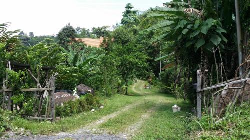 Seremban Villa | Amazing Feel In PLASSID