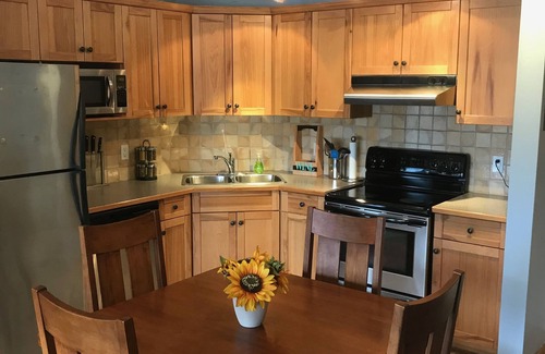 East Kootenay Condo | Amazing lake view, steps to Kinsmen Beach & Invermere restaurants & amenities!