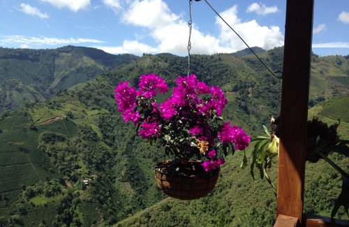 Salgar Villa | Amazing Mansion in the Coffee Zone - 2 h from Medellin!