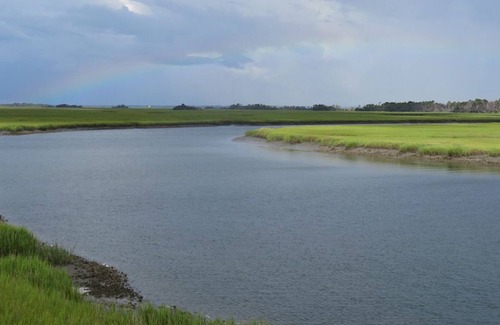 Bonito Boathouses House | Amazing marsh water views, golf cart included